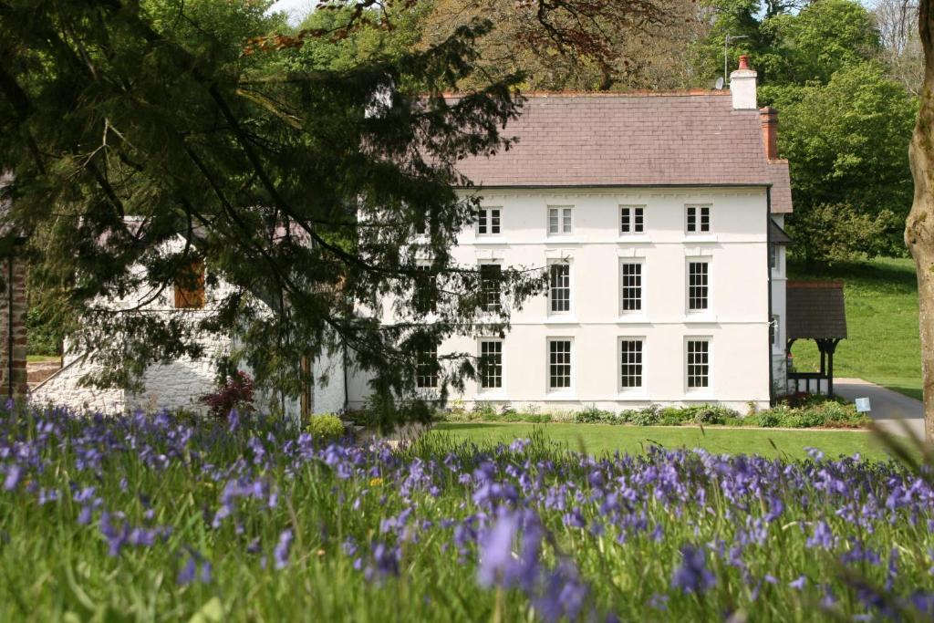 Grove Of Narberth Hotel Exterior foto